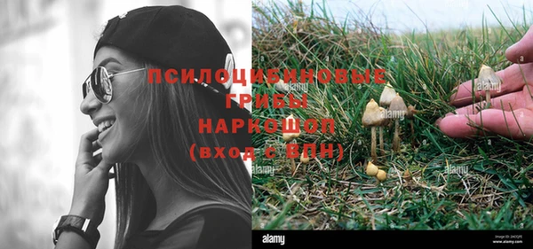 прущие крисы Ладушкин