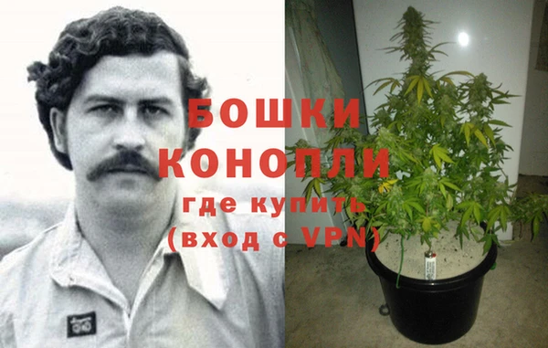 прущие крисы Ладушкин